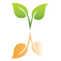 New_Sustain